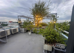 XUÂN THỚI ĐÔNG HÓC MÔN TRỤC NHƯA 8M, 3TẦNG, 160M2, NHINHT 6T
