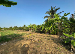 BÁN 2 SỔ ĐẤT Tân An, Long An cũ