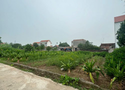Bán đất thổ cư giá mềm