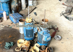 Đơn vị sửa chữa, thay thế buồng bơm máy bơm trục đứng Pentax chuyên nghiệp