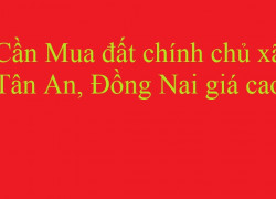 Cần Mua đất chính chủ xã Tân An, Đồng Nai giá cao