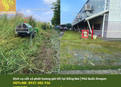 Dịch vụ cắt cỏ chuyên nghiệp - Giá tốt, làm tận tâm tại Đồng Nai