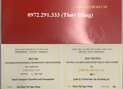 Đào tạo chứng chỉ SƠ CẤP VẬN TẢI - QUẢN LÝ ĐIỀU HÀNH VÀ KHAI THÁC KINH DOANH VẬN TẢI