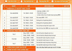 Khóa học xoa bóp bấm huyệt tại tphcm