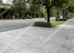 Đá tím hoa cà khò lửa – độc đáo, chống trơn, bền đẹp cho ngoại thất