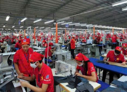 Cty may mặc tuyển tổ trưởng, QC, công nhân may & LĐPT
