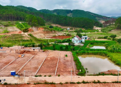 Bán Đất Ven Đà Lạt 542m² Thổ Cư 200m² – Giữa Đồi Thông Xanh, Sẵn Sàng Xây Nhà Vườn Nghỉ Dưỡng