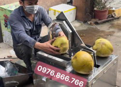 MÁY BỔ ĐÔI DỪA TƯƠI TẤN PHÁT - MÁY BỔ DỪA TỰ ĐỘNG - máy chặt dừa tươi