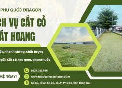 🌱 Bán đất màu trồng cây chất lượng, giá tốt, giao hàng nhanh khu vực Đồng Nai