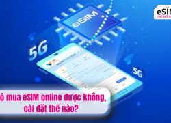 Có mua eSIM online được không, cài đặt thế nào?