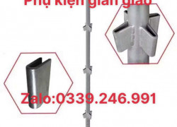 Mua Bát u nêm, pát nêm giàn giáo ở đâu giá tốt?