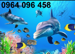 Tranh gạch 3d tranh cá - MNB899