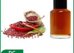 CHIẾT XUẤT ĐẬU ĐỎ – "THẦN DƯỢC" DƯỠNG DA TỪ THIÊN NHIÊN