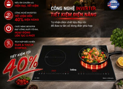 BẾP TỪ ĐÔI TAKING TK 789I