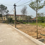 0399443567