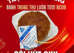 Gói hút oxy Secco cho bánh Trung Thu – Hàng có sẵn, hỗ trợ gửi mẫu