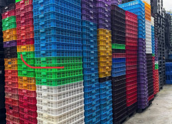 Rổ nhựa 61x42x10 cm đã qua sử dụng