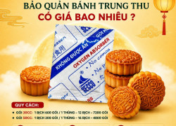 Gói Hút Oxy Secco – Giải Pháp Hỗ Trợ Bảo Quản Thực Phẩm Đóng Gói