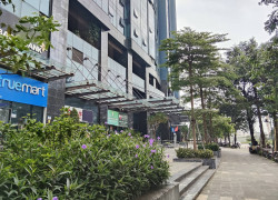 Bán SH Sunshine City Dòng tiền 660 triệu/năm từ shophouse Ciputra.