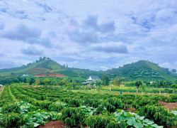 Cần Bán Đất Ven Đà Lạt 1.001m² Có 200m² Thổ Cư View Núi Đẹp Tại Nam Hà