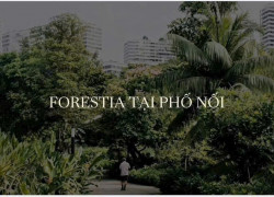 Chuẩn bị mở bán đợt 1 - Dự án Forestia Park của MIk GROUP