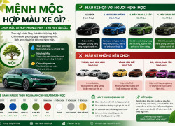 Mệnh Mộc Hợp Màu Xe Gì? Cách Chọn Màu Xe Hợp Phong Thủy Thu Hút Tài Lộc
