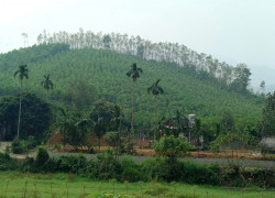 BÁN ĐẤT NGHỈ DƯỠNG – KHU LỊCH 2 HƯƠNG CẦN – THANH SƠN, PHÚ THỌ