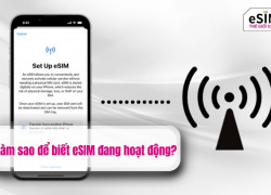 Làm sao để biết eSIM đang hoạt động?