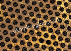 Tôn đột lỗ mạ kẽm cuộn chất lượng cao