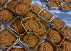Gói Hút Oxy O-Maxxsorb Chính Hãng – Giải Pháp Bảo Quản Bánh Trung Thu Và Thực Phẩm Đóng Gói