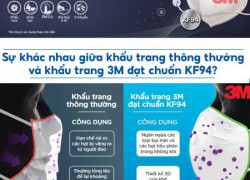 Nhà phân phối khẩu trang 3M chính hãng