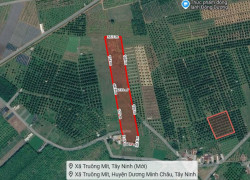 [L2682*] 1.8Ha Đất Trồng Sầu Riêng Sát Chợ Truông Mít - Giá 5.x Tỷ