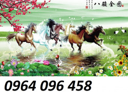 Tranh gạch 3d ốp tường mã đáo thành công - DS223