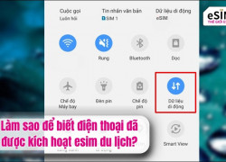 Làm sao để biết điện thoại đã được kích hoạt esim du lịch?
