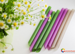 Thủ tục xuất khẩu ống hút gạo