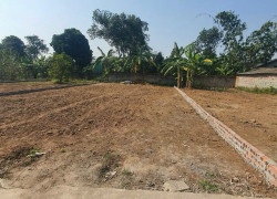 Đất nền Ba Vì giá rẻ – Chỉ 980 triệu sở hữu mảnh đất vuông vắn 210m2 tại Ngọc Nhị, Cẩm Lĩnh!
