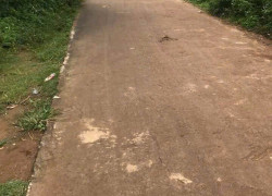 Bán nhanh lô đất Phú Hội, Đức Trọng giá rẻ chỉ 800 triệu đồng.
