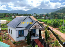 Cần Bán Nhà Vườn Đông Thanh 661m² Mặt Tiền 40m, Full Nội Thất Gần Đà Lạt