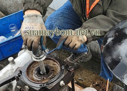 Nguyên nhân và cách khắc phục phớt bơm công nghiệp bị hỏng