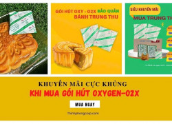 Gói Hút Oxy O2X Chống Mốc Cho Bánh Trung Thu Hiệu Quả Trong Mùa Cao Điểm