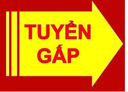 Tuyển Nữ chuyên viên hồ sơ ngành hoá mỹ phẩm
