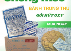Gói chống mốc OXYTOC nhỏ, chống mốc bánh trung thu lớn?