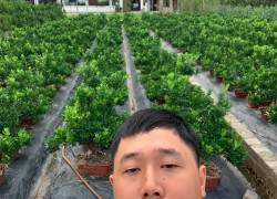 🔥 HOA HẬU MỄ SỞ  141 m - 2 MẶT THOÁNG ĐƯỜNG APPHAN Ô TÔ CHẠY. 🔥