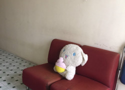 Cần nữ nhân viên văn phòng, sinh viên ở ghép