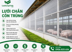 VÌ SAO TRANG TRẠI CHĂN NUÔI NÊN LẮP LƯỚI CHẮN CÔN TRÙNG?