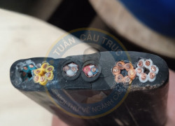 cáp điện dẹt 24C 0.75 02 chống nhiễu