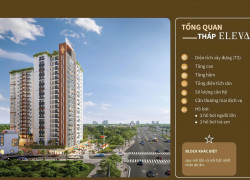 Ra mắt tháp ELEVA – Thanh toán 15% đến nhận nhà, ưu đãi đến 11,5%