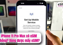 iPhone 11 Pro Max có eSIM không?