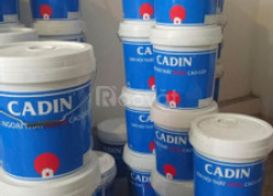 Nhà phân phối sơn dầu hệ nước kháng khuẩn Cadin A140 uy tín cho công trình