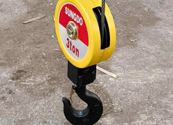 Móc cẩu palang đơn 3 tấn